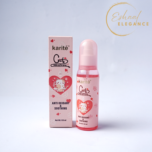 MATTE FINISH MAKEUP FIXER SPRAY